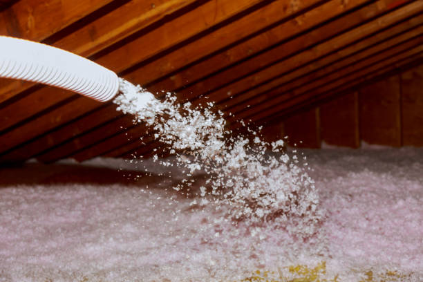 Best Commercial Insulation in Del Norte, CO