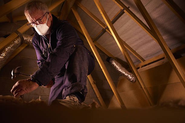 Best Insulation Materials and Products in Del Norte, CO