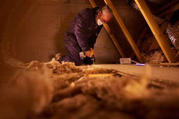 Best Residential Insulation in Del Norte, CO